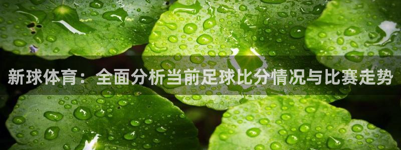 新球体育：全面分析当前足球比分情况与比赛走势