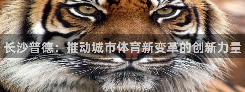 长沙普德：推动城市体育新变革的创新力量