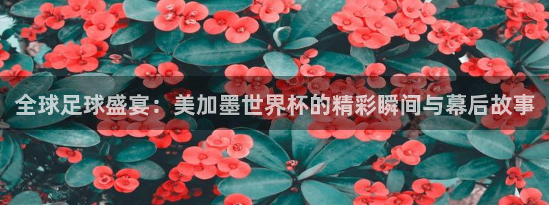 全球足球盛宴：美加墨世界杯的精彩瞬间与幕后故事