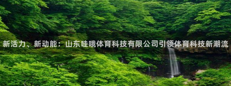 新活力、新动能：山东哇哦体育科技有限公司引领体育科技新潮流