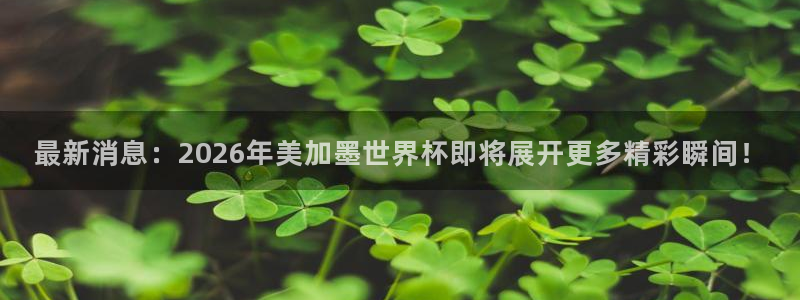 最新消息：2026年美加墨世界杯即将展开更多精彩瞬间！