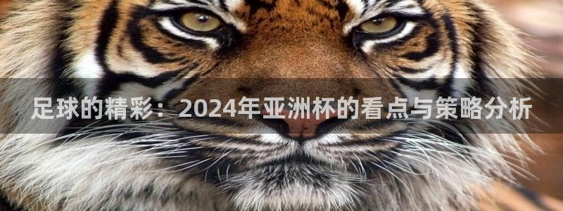 足球的精彩：2024年亚洲杯的看点与策略分析
