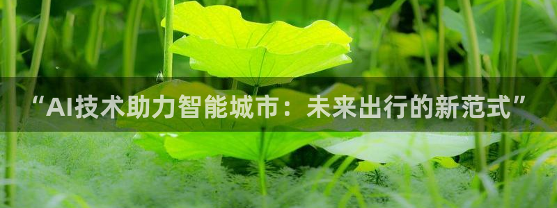 “AI技术助力智能城市：未来出行的新范式”
