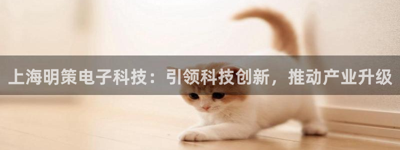 上海明策电子科技：引领科技创新，推动产业升级