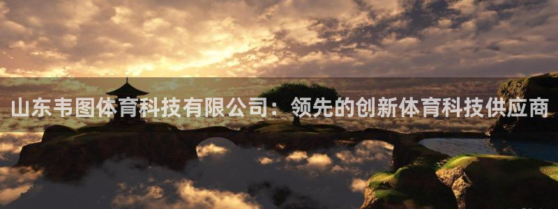 山东韦图体育科技有限公司：领先的创新体育科技供应商