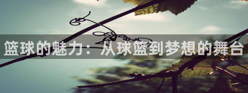 篮球的魅力：从球篮到梦想的舞台