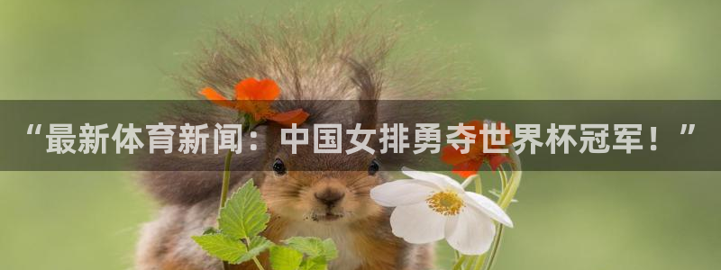 “最新体育新闻：中国女排勇夺世界杯冠军！”